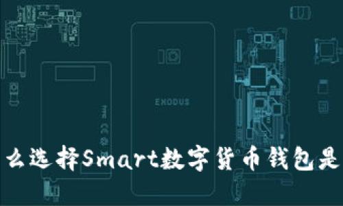 挑战传统金融：为什么选择Smart数字货币钱包是你投资的明智之选！