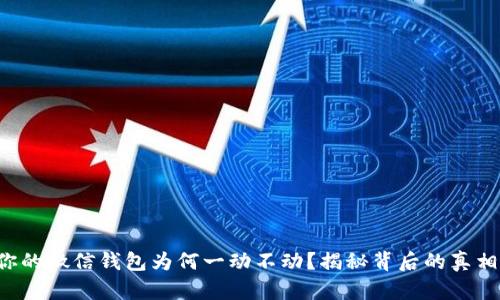 你的微信钱包为何一动不动？揭秘背后的真相！