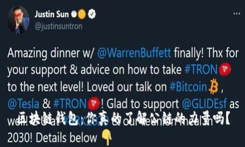 区块链钱包：你真的了解公链的力量吗？
