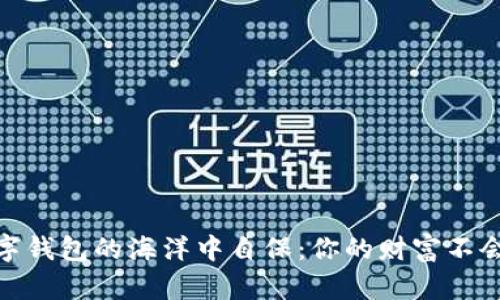 如何在数字钱包的海洋中自保：你的财富不会随风而逝