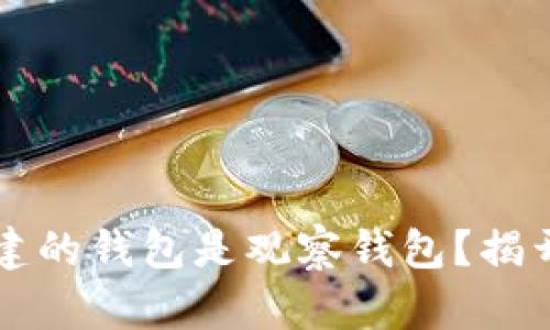 为什么TP创建的钱包是观察钱包？揭开背后的秘密