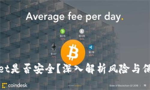 TPWallet是否安全？深入解析风险与保护措施