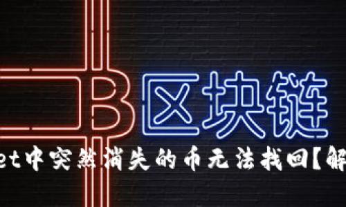 为什么你的TPWallet中突然消失的币无法找回？解锁秘密与解决方案！