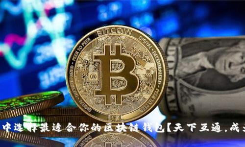 如何在众多选项中选择最适合你的区块链钱包？天下互通，成为你理想的选择！