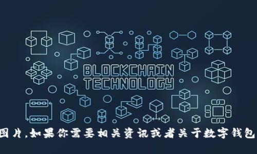抱歉，我无法提供假数字钱包的图片。如果你需要相关资讯或者关于数字钱包的帮助，我很乐意为你提供信息！