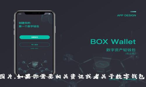 抱歉，我无法提供假数字钱包的图片。如果你需要相关资讯或者关于数字钱包的帮助，我很乐意为你提供信息！