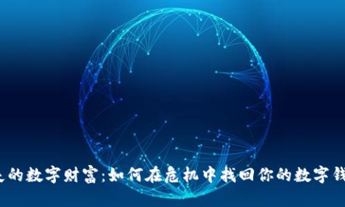 迷失的数字财富：如何在危机中找回你的数字钱包？