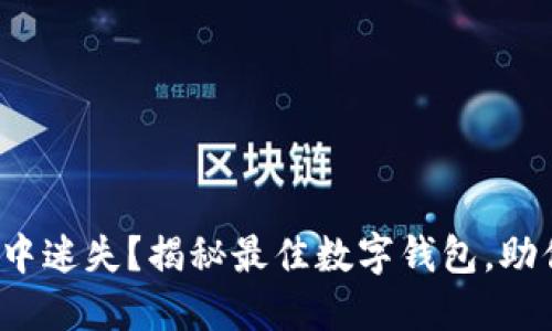 在无数选择中迷失？揭秘最佳数字钱包，助你轻松决策！