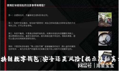 区块链数字钱包：安全还是风险？揭示隐秘真相！