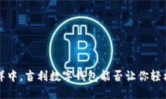 在数字钱包的海洋中，吉利数字钱包能否让你轻