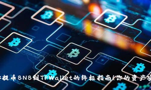 从币安提币BNB到TPWallet的终极指南！你的资产安全吗？