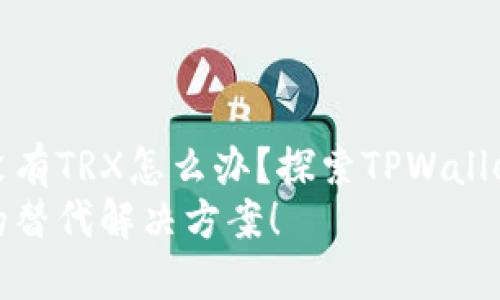 没有TRX怎么办？探索TPWallet
的替代解决方案！
