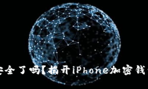 你的数字资产安全了吗？揭开iPhone加密钱包的秘密与挑战