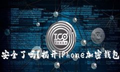 你的数字资产安全了吗？揭开iPhone加密钱包的秘