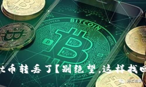 你的TPWallet币转丢了？别绝望，这样找回可能性更高！