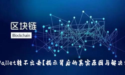 TPWallet转不出去？揭示背后的真实原因与解决方案