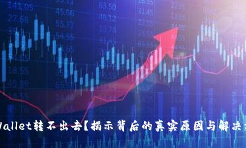 TPWallet转不出去？揭示背后的真实原因与解决方案