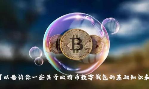 抱歉，我无法提供比特币数字钱包的网址，但我可以告诉你一些关于比特币数字钱包的基础知识和选择要考虑的因素。如果你需要帮助，请告诉我！