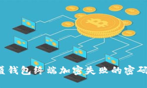 破解盛钱包终端加密失败的密码谜团！