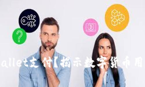 谁在使用TPWallet支付？揭示数字货币用户的背后故事