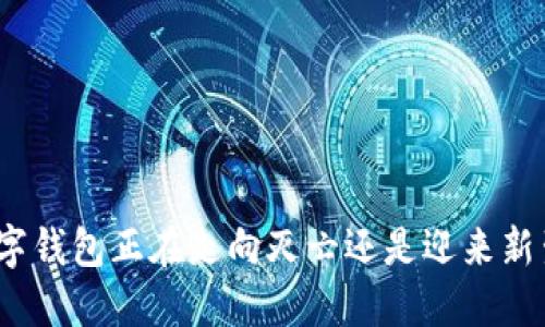 数字钱包正在走向灭亡还是迎来新生？