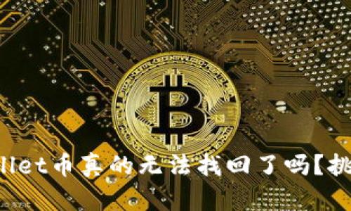 丢失的tpwallet币真的无法找回了吗？挑战这些误区！