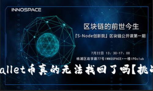 丢失的tpwallet币真的无法找回了吗？挑战这些误区！