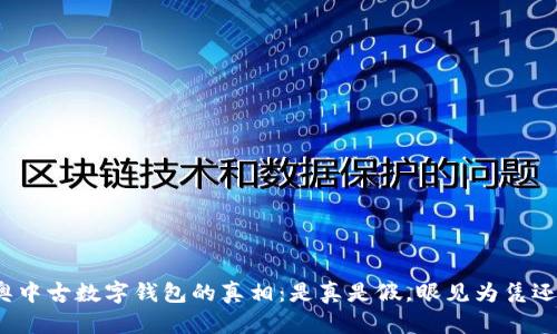 揭秘迪奥中古数字钱包的真相：是真是假，眼见为凭还是陷阱？
