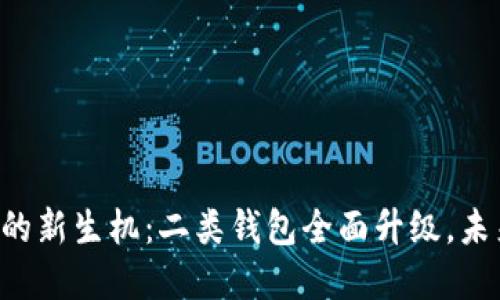 掌握数字钱包的新生机：二类钱包全面升级，未来支付的革命！