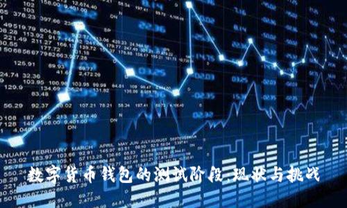 数字货币钱包的测试阶段：现状与挑战