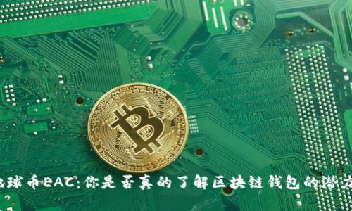 地球币EAC：你是否真的了解区块链钱包的潜力？
