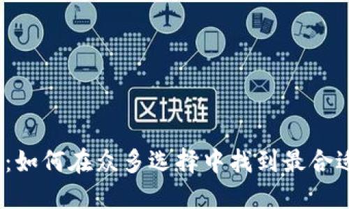 数字钱包买币：如何在众多选择中找到最合适的解决方案？