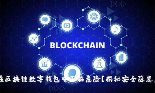 你的资产为何在区块链数字钱包中面临危险？揭秘安全隐患，保护你的财富！