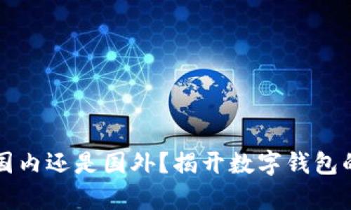 TPWallet：国内还是国外？揭开数字钱包的真实面纱！