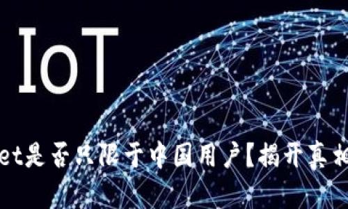 TPWallet是否只限于中国用户？揭开真相与挑战