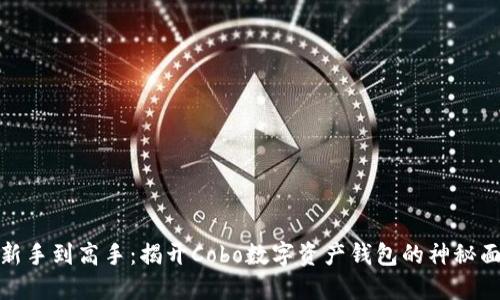 从新手到高手：揭开Cobo数字资产钱包的神秘面纱