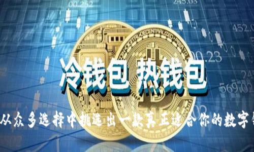 如何从众多选择中挑选出一款真正适合你的数字钱包？