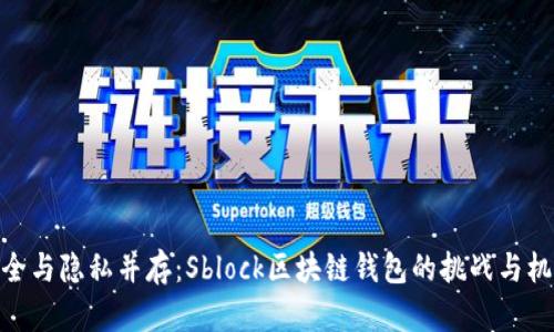 安全与隐私并存：Sblock区块链钱包的挑战与机遇