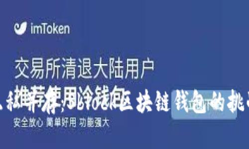 安全与隐私并存：Sblock区块链钱包的挑战与机遇