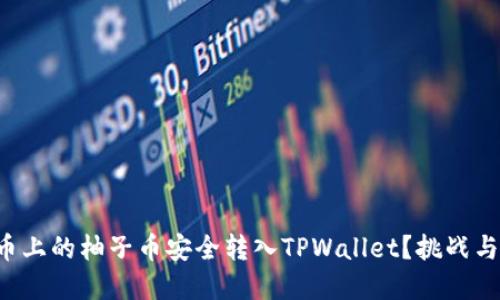 如何将火币上的柚子币安全转入TPWallet？挑战与解决方案！