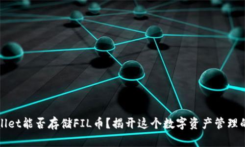 TPWallet能否存储FIL币？揭开这个数字资产管理的迷雾