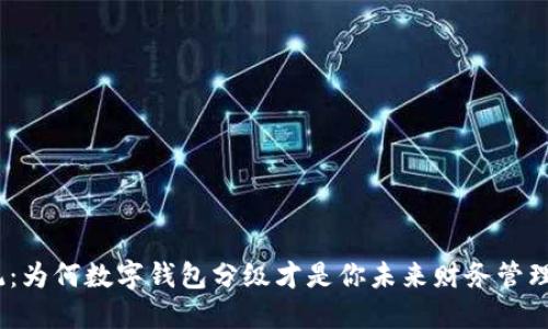 超越传统：为何数字钱包分级才是你未来财务管理的关键？