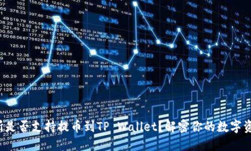 抹茶交易所是否支持提币到TP Wallet？解密你的数字资产流动性！