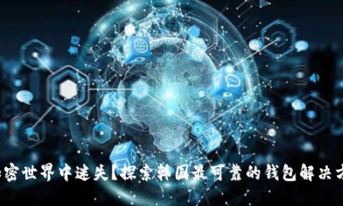 在加密世界中迷失？探索韩国最可靠的钱包解决方案！