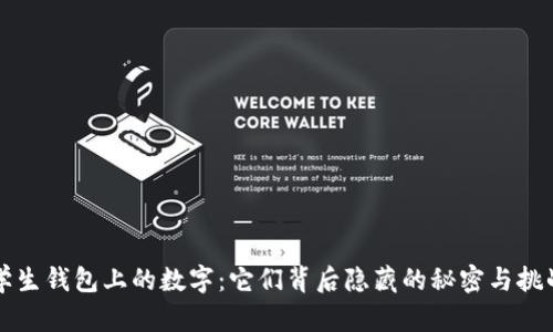 学生钱包上的数字：它们背后隐藏的秘密与挑战