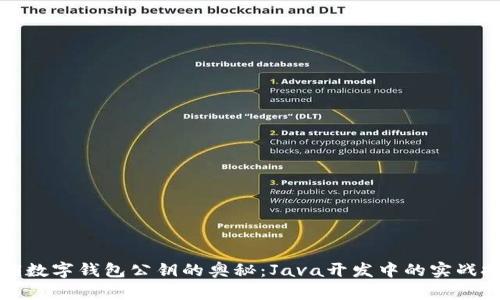 解锁数字钱包公钥的奥秘：Java开发中的实战挑战