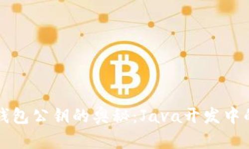 解锁数字钱包公钥的奥秘：Java开发中的实战挑战