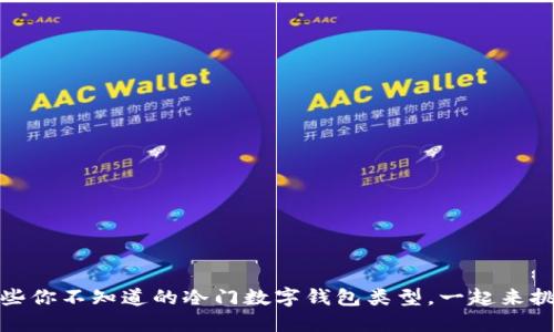 揭秘：那些你不知道的冷门数字钱包类型，一起来挑战主流！