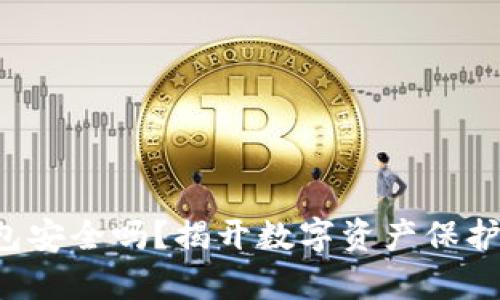 你的钱包安全吗？揭开数字资产保护的真相！