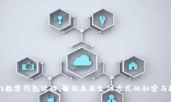 厦门数字钱包活动：解锁未来支付方式的秘密与